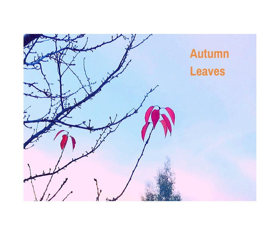 Turn over a ‘new leaf’ this autumn (boom boom). Call SJM if you’re looking to ‘branch out’ and leave your current job - we can help you find a new one! Contact us: hello@sjmrecruit.co.uk or call 01242 387071 #newjob #cheltenhamjobs #gloucesterjobs #tewkesburyjobs #GlosBiz