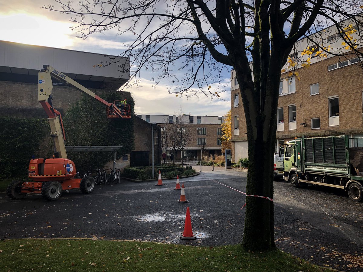BGLscapes's tweet image. Thanks to @smithshire for providing us with the access equipment needed to undertake some high level pruning at @LancasterUni