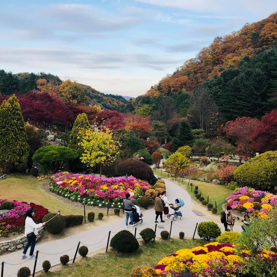 Seoul garden view with tourists