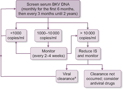 NDTsocial's tweet photo. Risk factors, pathogenesis, presentation and management of BK virus infection in #kidney #transplantation https://t.co/plemnNnPUh #NDTDigest https://t.co/ztpwMG0F2z