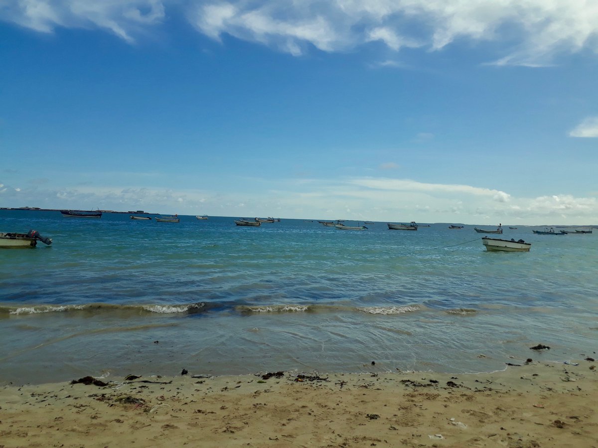 Fatumaabdulahi's tweet photo. The cure to excessive heat and humidity season is to hangout at my favourite beach in #Kismayo, #Calanley. Looks like dogs have also come to the beach for a relief from the heat, taking a siesta. The simple life. #Somalia https://t.co/BRGeqf4Zv1