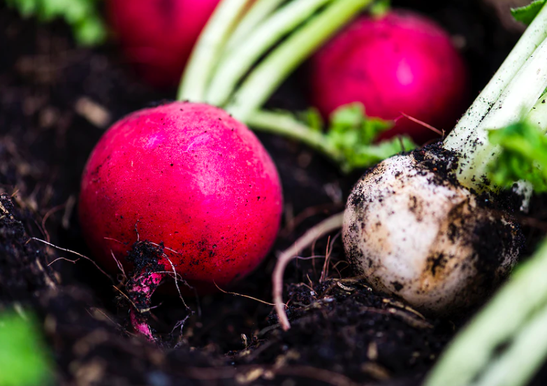 agripoolapp's tweet photo. AgripoolApp is taking agriculture to the next level of innovation with its digital farming platform. Learn more https://t.co/lULCjOc3yx
#AgripoolApp #Farming #Agriculture https://t.co/dOl4jqgXTQ