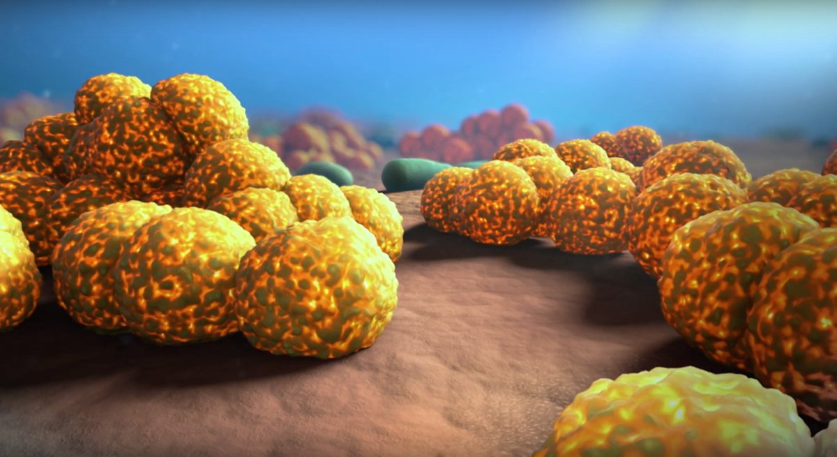 🇪🇺EU promotes Endolysin Technology,  Set to Replace Antibiotics: Micreos Awarded €2.5 Million for Breakthrough for Skin Problems Including Acne and Eczema wallstreet-online.de/nachricht/1189… #AMR #AntibioticResistance #eczema