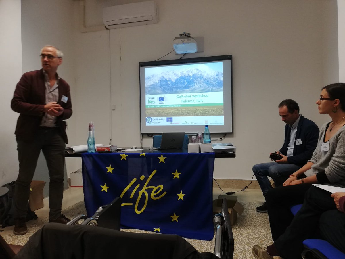 DREAm_Italia_EU's tweet photo. #LifeGoprofor has an ambitious vision for a future project: develop a🇪🇺European🇪🇺school for #Natura2000🌲forest🌲management‼️ And we are already working on it‼️
@LIFEprogramme @EU_ENV @EUClimateAction @EUROPARC @angelosalsi1 @BioGeoProcess @LIFEprogrammeIT @AleCampanaro https://t.co/Ge9e5CjKWa