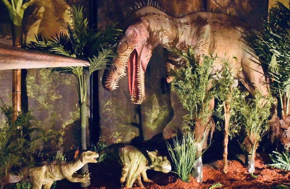 KadizahCaligone's tweet photo. Jurassic World 2019 🦖🦕   

Shirt: @CheezyMcFleezy 

#Mamasaurus #Daddysaurus #Brothersaurus #Sistersaurus #👨‍👩‍👧‍👦 #CaligoneFamily @CaligoneIV https://t.co/Bp9DaYKdgF