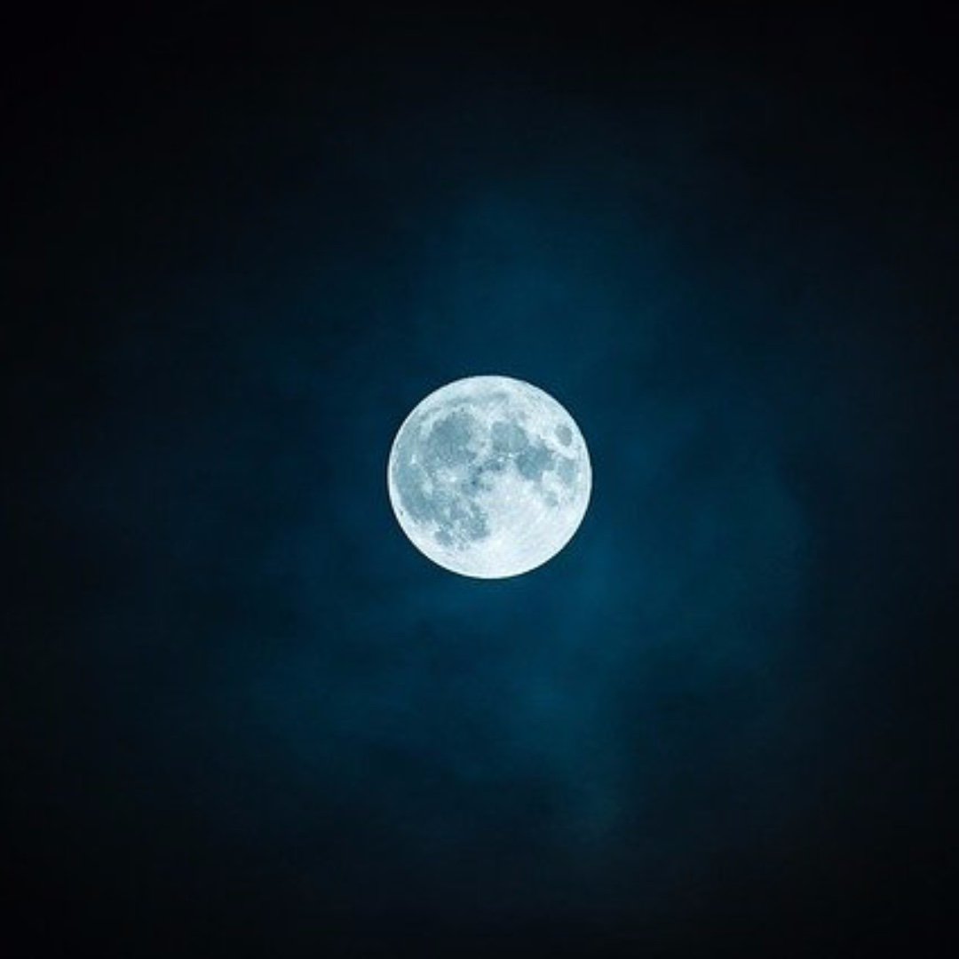 Frost Moon 🌚
The first full moon in November, which falls on the 12th this year, is called the Frost Moon - as it's usually about the time of the first frosts. It is also known as The Beaver Moon.
#moon #frost