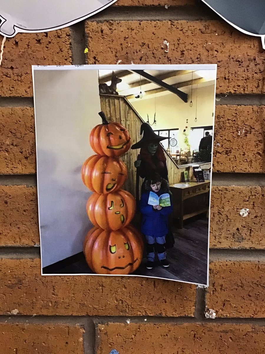 MrsST6's tweet photo. There are a few extreme reader photos in our class reading corner already! I canβt wait to see the other unusual places the Squirrels have found to read! Please send them to the school office and we will get them up in the classsroom! @walton_primary #extremereader https://t.co/gmhodx4IWL