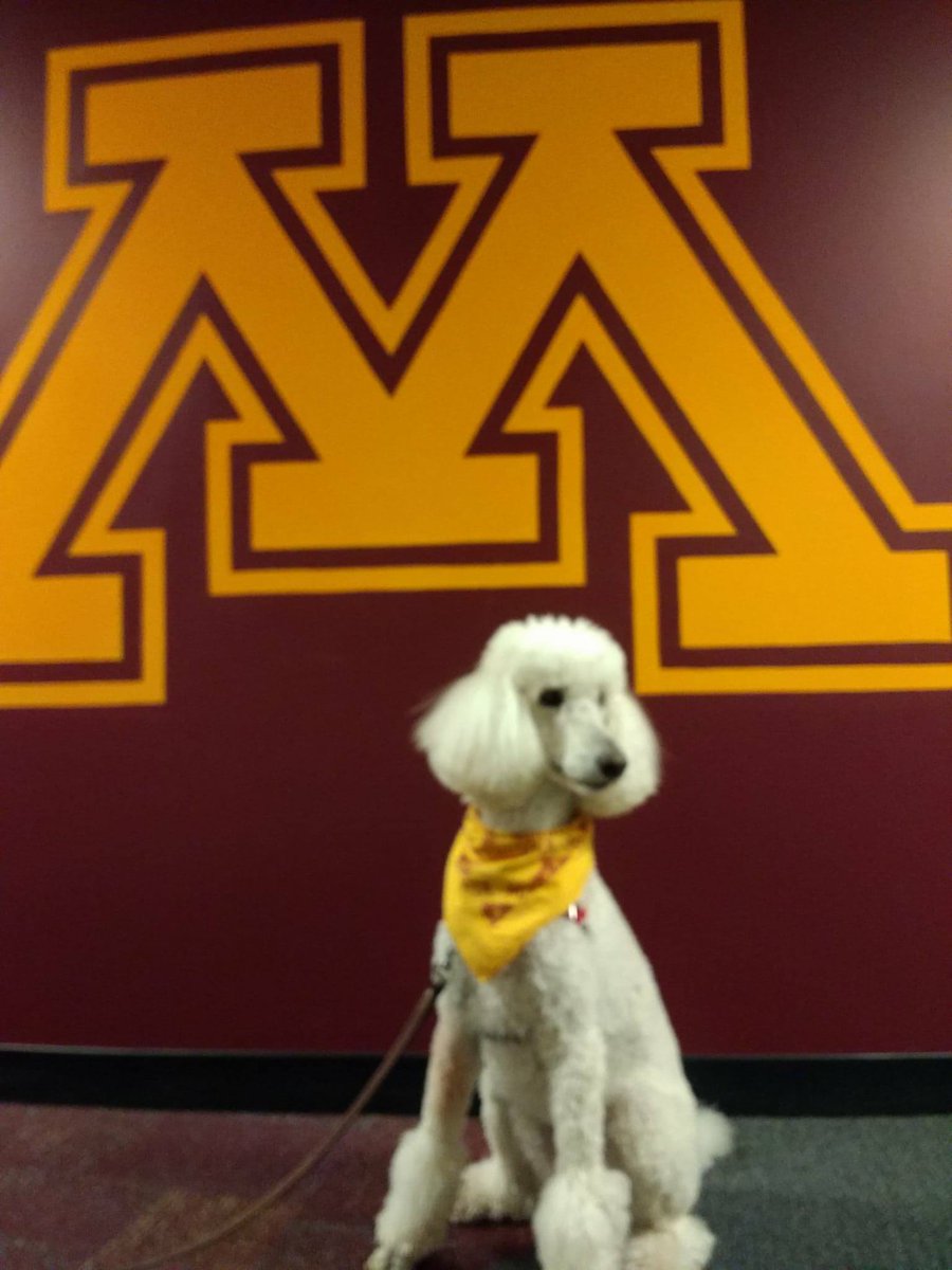 Smile_Dottie's tweet image. What the heck #Gophers, it is soo cold today!  Time to use the #Gopherway when you are out and about on campus pts.umn.edu/walk/gopher-wa…
