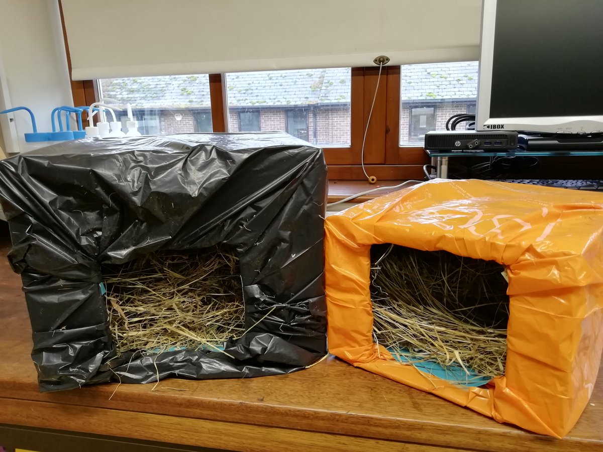 FarlScience's tweet photo. The Eco Committee have been busy at work making hedgehog houses to shelter them from the horrible weather 🌧️ 🦔
@Farlington_Sch @BBCSpringwatch 
#hedgehogs #hedgehoghouse #Autumnwatch https://t.co/yckL3zEj9t