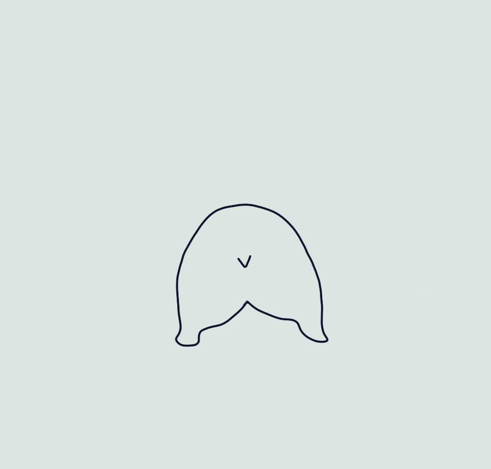 Poorly Drawn Animals tweet media