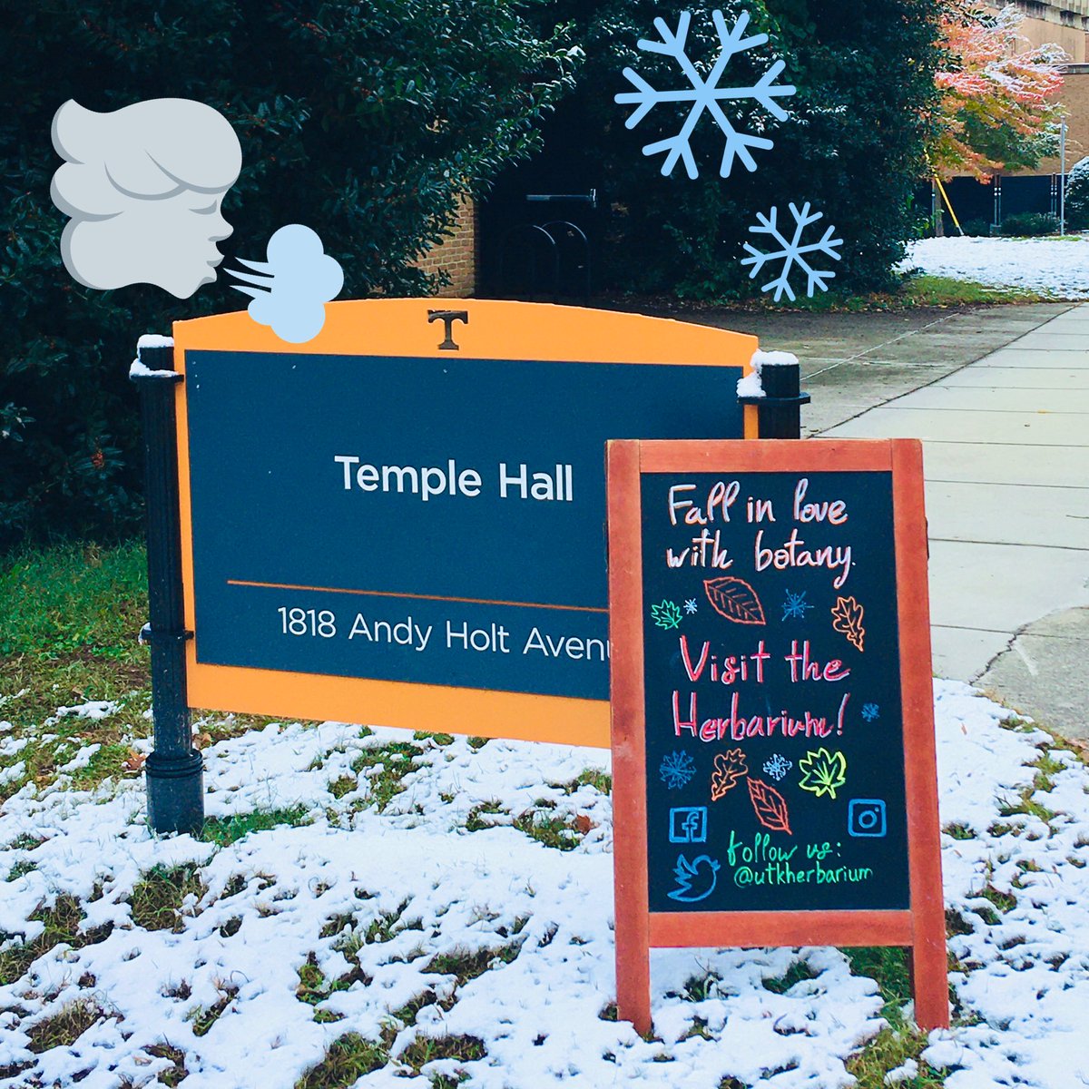 UTKHerbarium's tweet photo. Come on in for a visit to the #herbarium if you’d like to warm up on your way to class! #HerbSign #collections @UTK_EEB @UTKnoxville https://t.co/SmE1uXXTqK