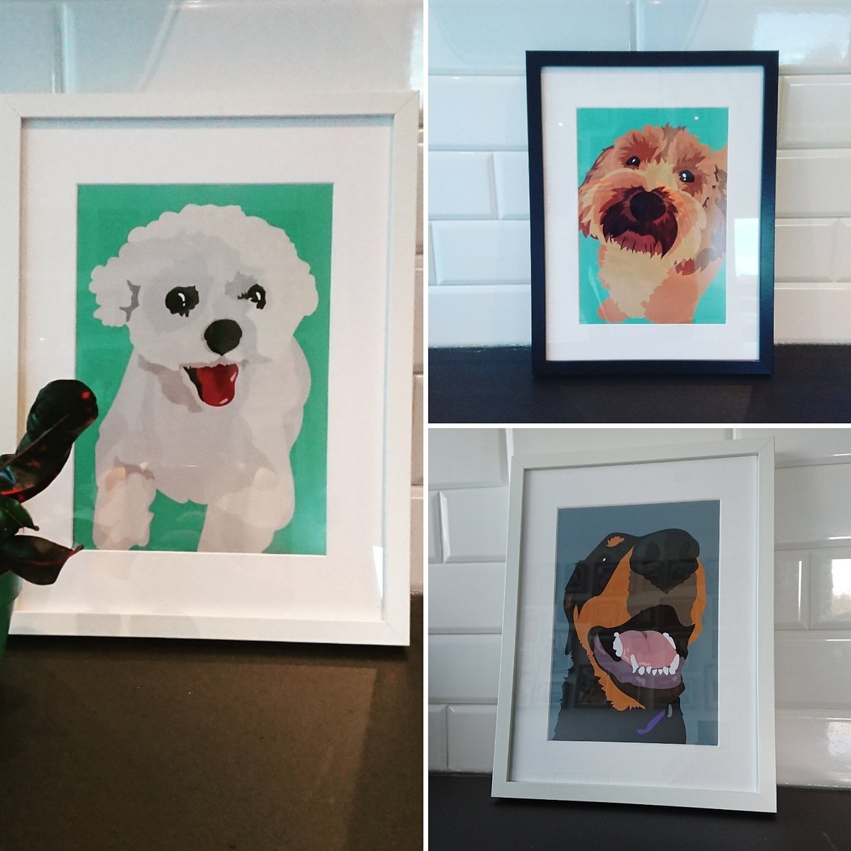 Orange4design's tweet image. The next two orders for a Personalised Pet Portrait will receive £10 off!!! Get your pet illustration, printed on high quality photographic paper and framed ready to hang!! Message me or email orangefourdesign@yahoo.com to order!! 

#Northeasthour #nefollowers #pets #giftguide