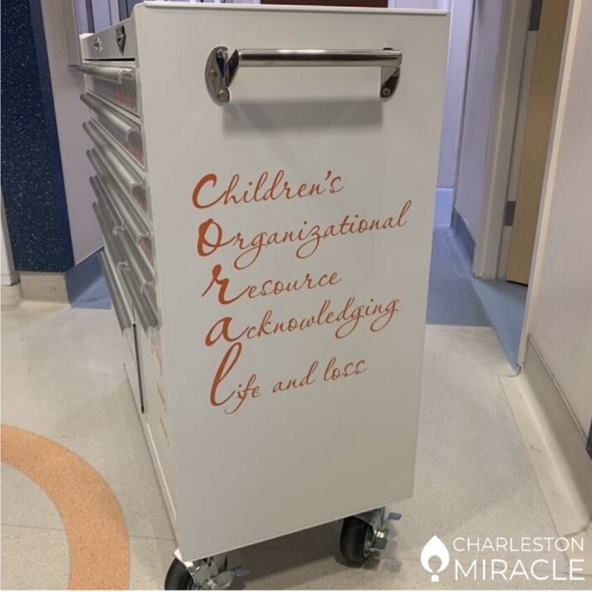 Today Charleston Miracle has committed to raising $18,000 for families like the Jacksons that benefit from the resources offered to them within these CORAL carts during their extended stay in the hospital. To join the movement or to learn more, click on the link in our bio! 🥰🌟