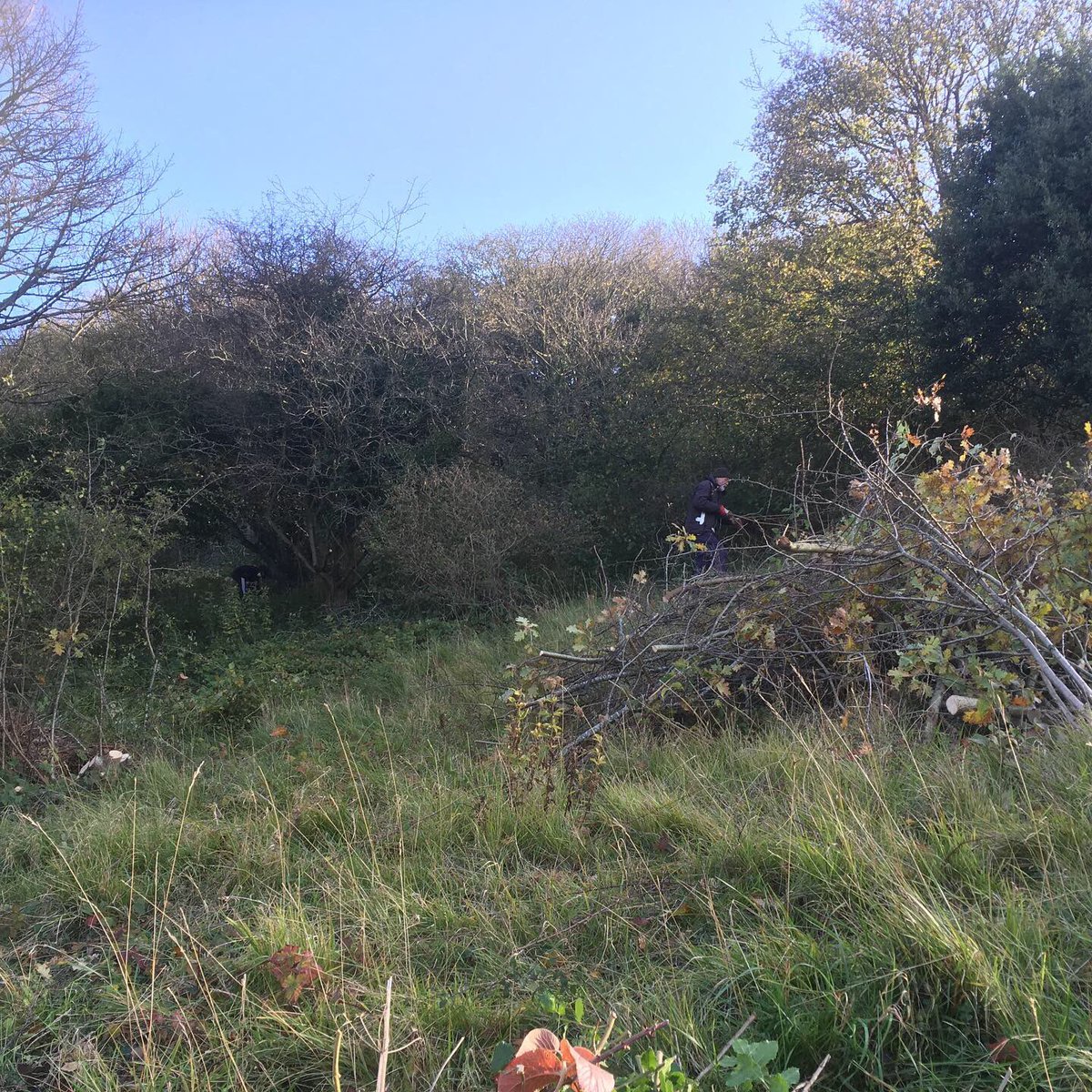 WCCPnews's tweet image. WCCP volunteers opening up pathways and glades; clearing scrub at Maxton, Western Heights nature reserve, Dover. You can come and help see our events list on www. Whitecliffscountryside.Org.uk  and Facebook page @WCCPnews @savebutterflies @DoverDC @DoverMercury @KentDownsAONB