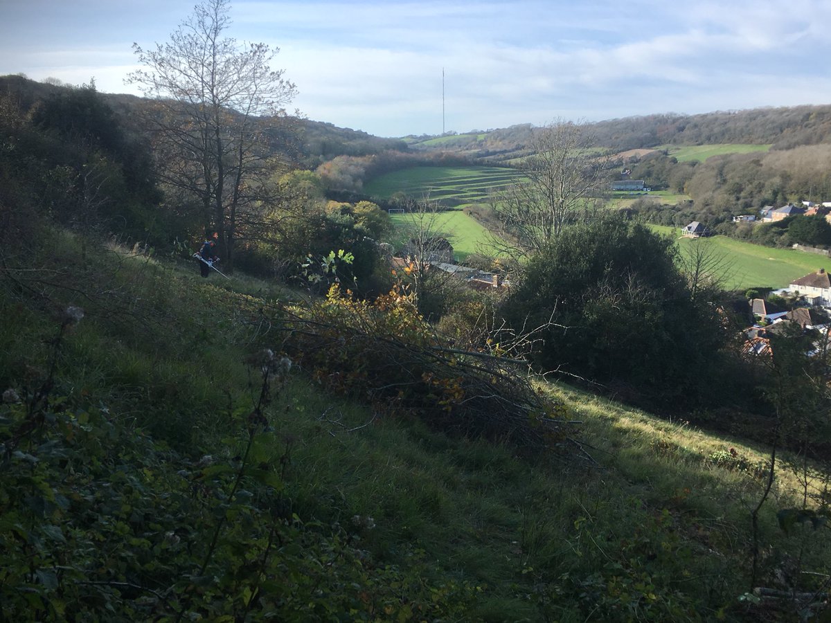 WCCPnews's tweet image. WCCP volunteers opening up pathways and glades; clearing scrub at Maxton, Western Heights nature reserve, Dover. You can come and help see our events list on www. Whitecliffscountryside.Org.uk  and Facebook page @WCCPnews @savebutterflies @DoverDC @DoverMercury @KentDownsAONB