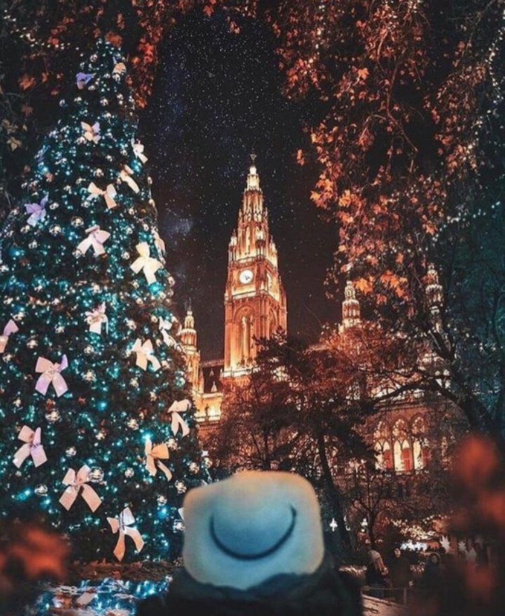 Christmas in Vienna, Austria 🎄