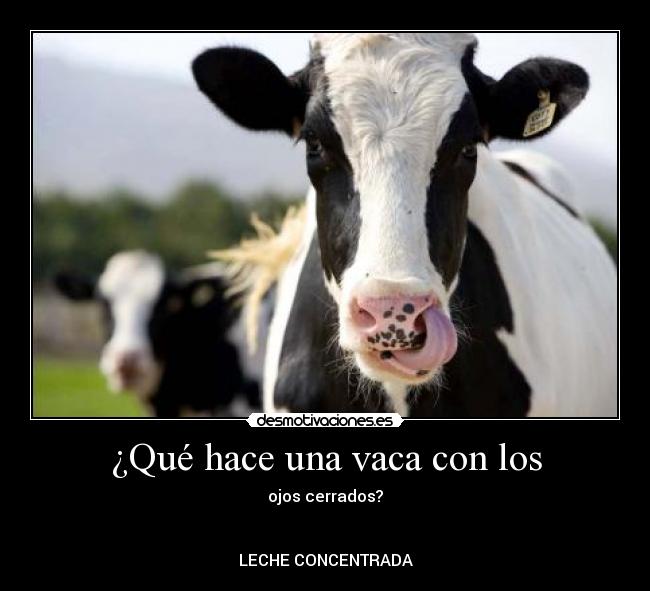 Elbarranquillo's tweet photo. Pongamos un toque de humor al día... ¡Feliz martes!
#lechefrescaelbarranquillo https://t.co/YgpJibSJpj