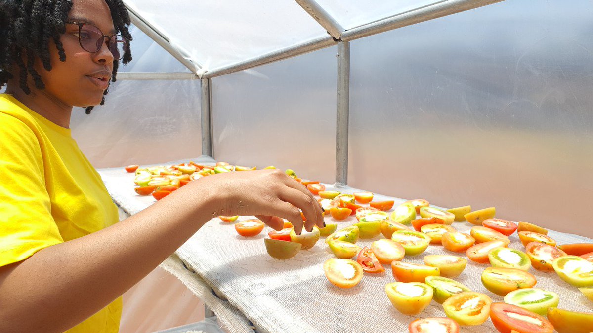 ebagropamoja's tweet photo. We offer affordable solar driers; they dry all types of produce from cereal, to fruits, to tubers, to vegetables... thus increasing the shelf life of your produce. 
Check https://t.co/fkvra6W7X2 and register your user gap on clean energy... https://t.co/reGWzTWdAL
