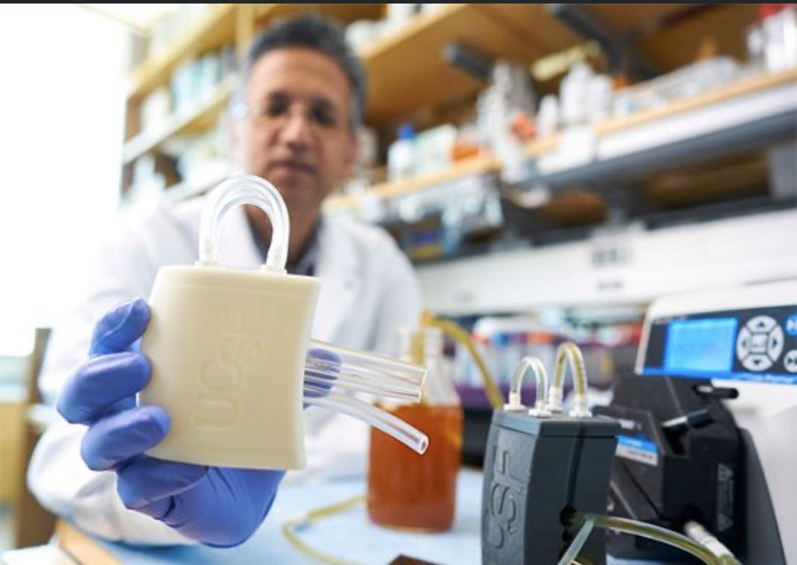 Renalooo's tweet photo. Un espoir pour les patients en #dialyse : un prototype de rein bioartificiel implantable testé avec succès sur le porc aux USA #greffe #néphrologie #kidneyproject
https://t.co/0M8pjZIJ4P https://t.co/O8NKwLhBcN