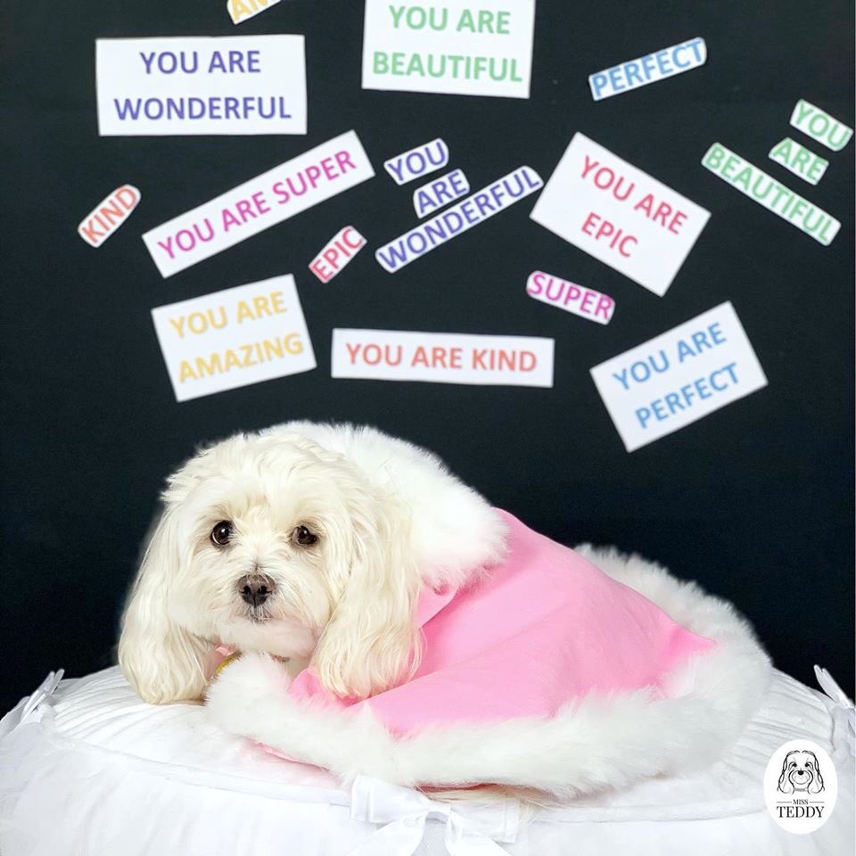 YWoofians's tweet photo. National Cape Day
 
 💖
Anything they can do I can do better
Anything they can do I can do too!
 😊
Are you believing in yourself today?

#NationalCapeDay #Wellbeing #WorldWellbeing #SnappHappy https://t.co/SLOiNNK2Zu