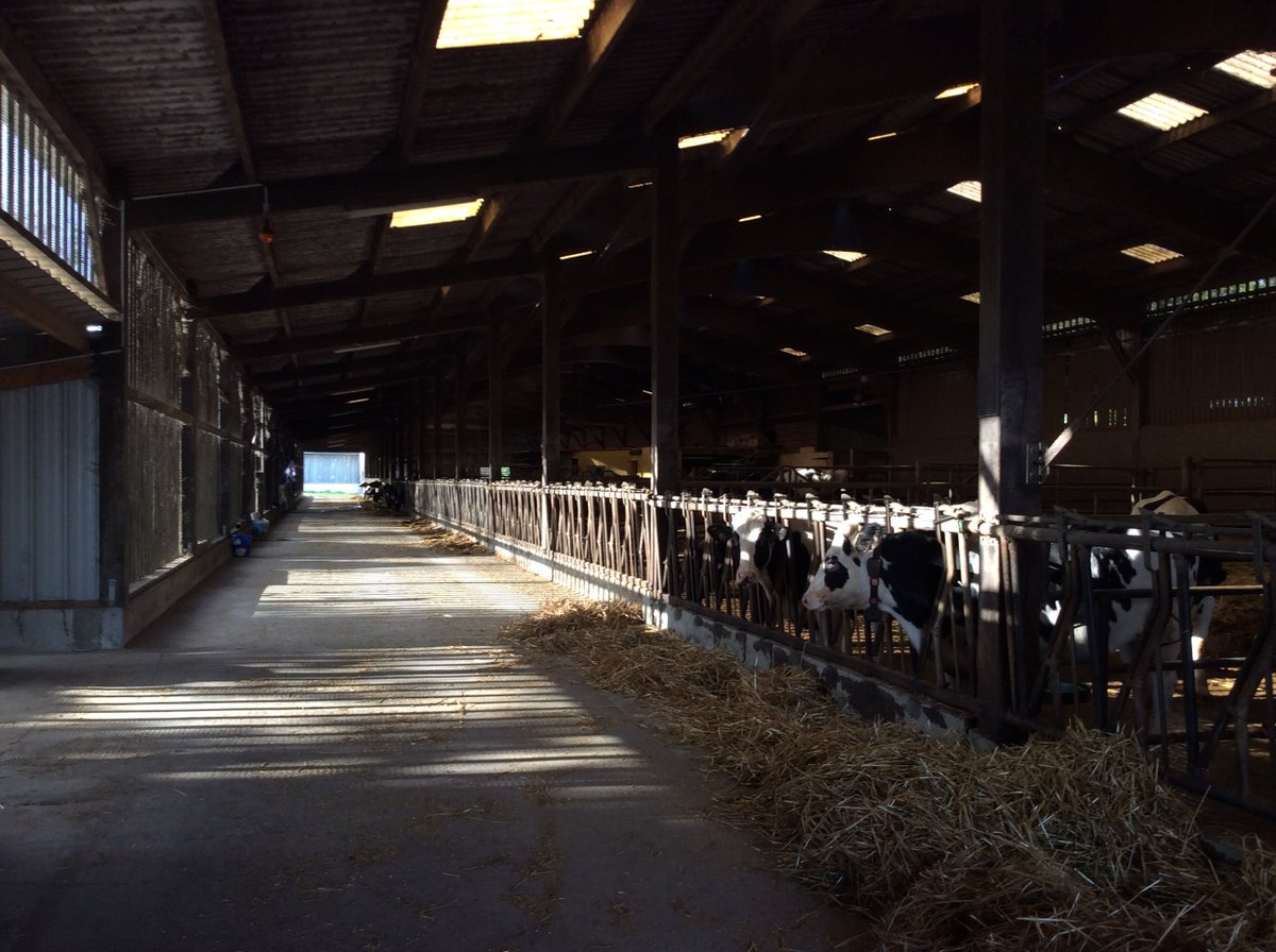 Prefecture50's tweet photo. Ce matin, Gérard GAVORY, Préfet de la Manche a visité le GAEC de la Belinière, élevage laitier de Condé sur Vire🐄🚜#JA50 https://t.co/E7nGL8GMkJ