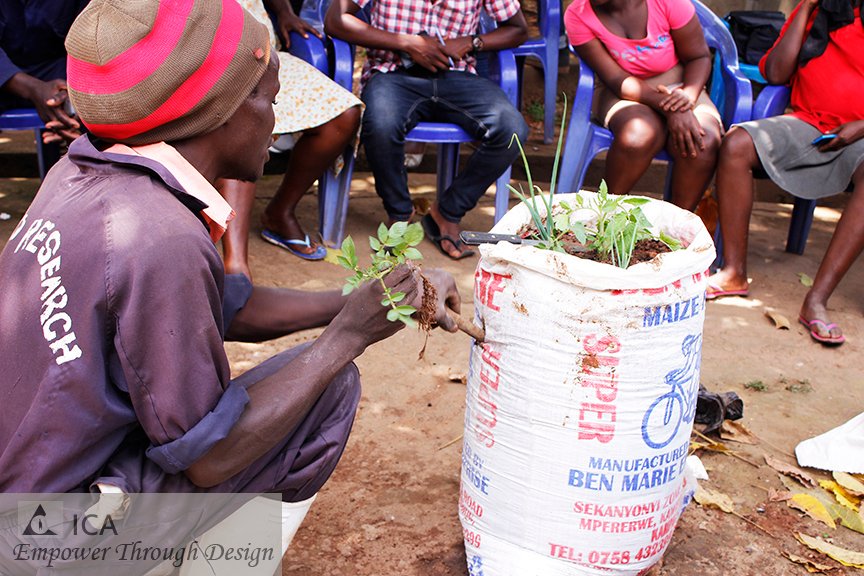 In this one sack, we were able to plant; Strawberries, tomatoes, Lettuce, irish potatoes, mint and spring onions!!!
Could this be a solution to the food shortage in Katanga?? Stay tuned to find out!!😊😄😁
