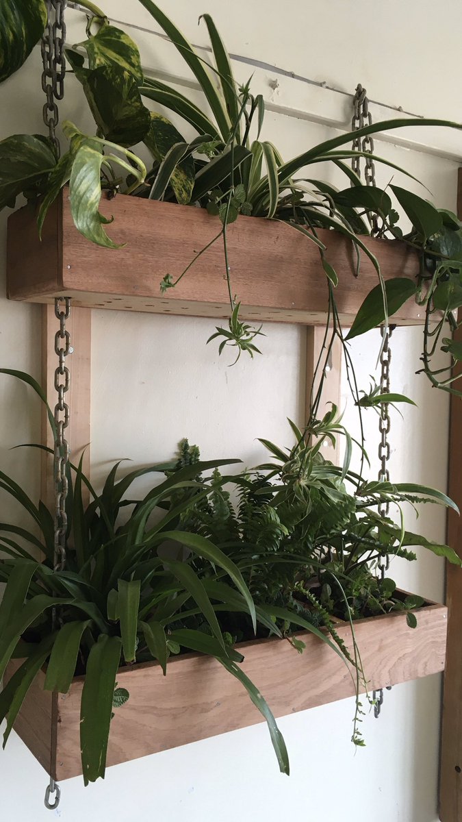 ombachi13's tweet photo. Nature is the best physician &amp; it’s my mission to convert my living room into an urban jungle.
🌳 🌺 🌲 

#RoamingChef ‘s kitchen is also open and can comfortably sit 5-7, 👀 me prepare your foods as you marvel over my DIY’s

Email for bookings and reservations.

New project ✅ https://t.co/fgosl562Zc