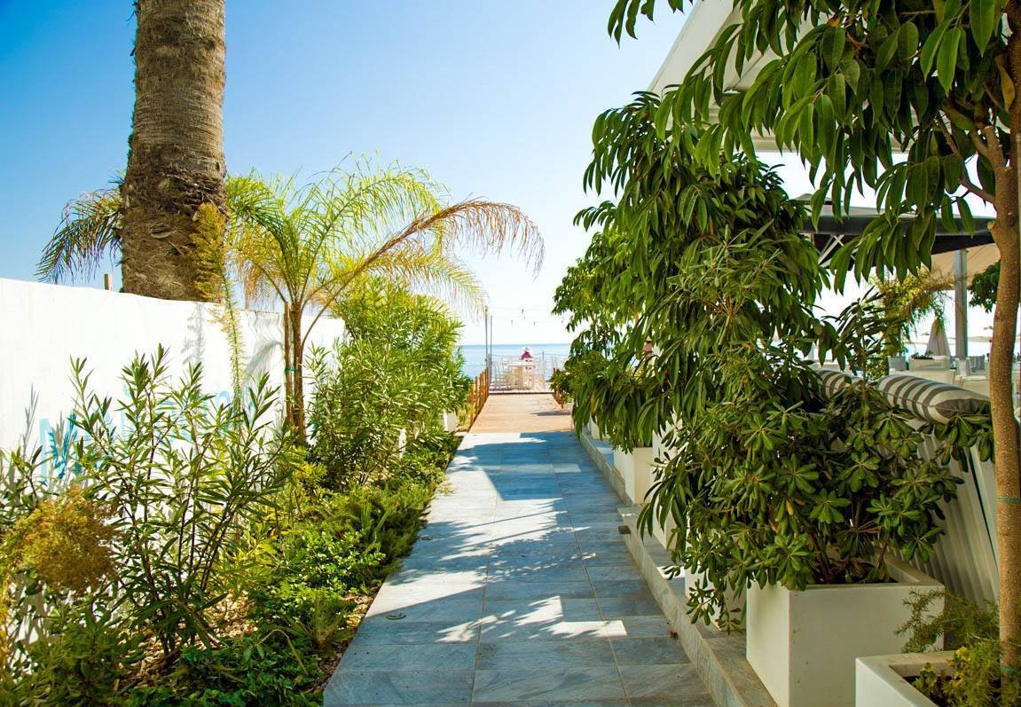 IslandLarnaca's tweet photo. Pathway to happiness 🌴
https://t.co/4qaqhHKpu2

#islandboutiquehotel #larnaca #makenzy #pialepasha #beach #beachlife #travel #traveldiaries #travelgram #summer #HoneyMoon #nature #TravelTuesday #vacation #vacationmode #holidays #happyplace https://t.co/jgfaqbZTS1