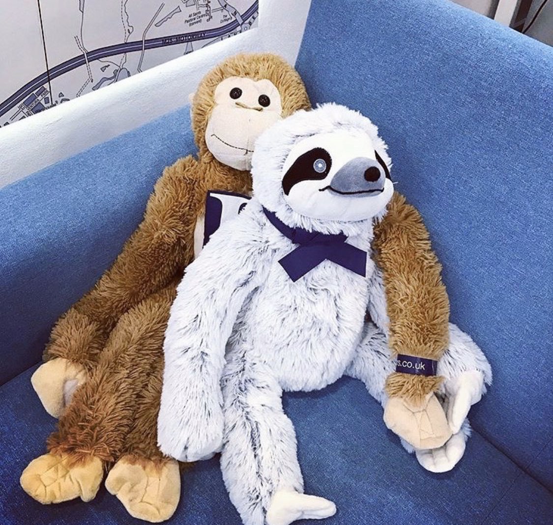 Monty’s been spotted in St Albans helping to bring the newest team member up to speed. 🐵 #MontytheMonkey #teamwork #Leaders #SimontheSloth #lettings