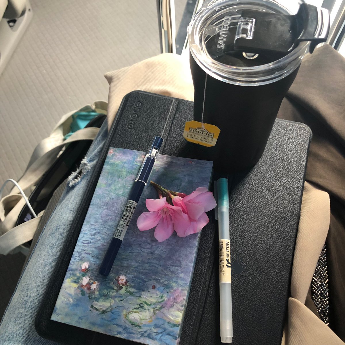 bashartist's tweet photo. best seat = legroom :3 https://t.co/4p6bqiuTqc