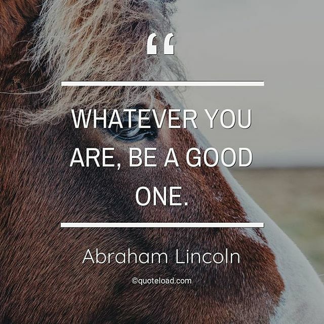 juliajohnson259's tweet photo. Whatever You Are, Be A Good One.

#quotesofthoughts #poem #poetsociety #tale #story#poet #literature #reading#writing #poetry #wordgazm #quote #relationshipquotes #livequotes #promise #microfiction #love #lovquotes #sayings #quotes #truth #motivation #life #belief #inspirati… https://t.co/53GndrqOaQ