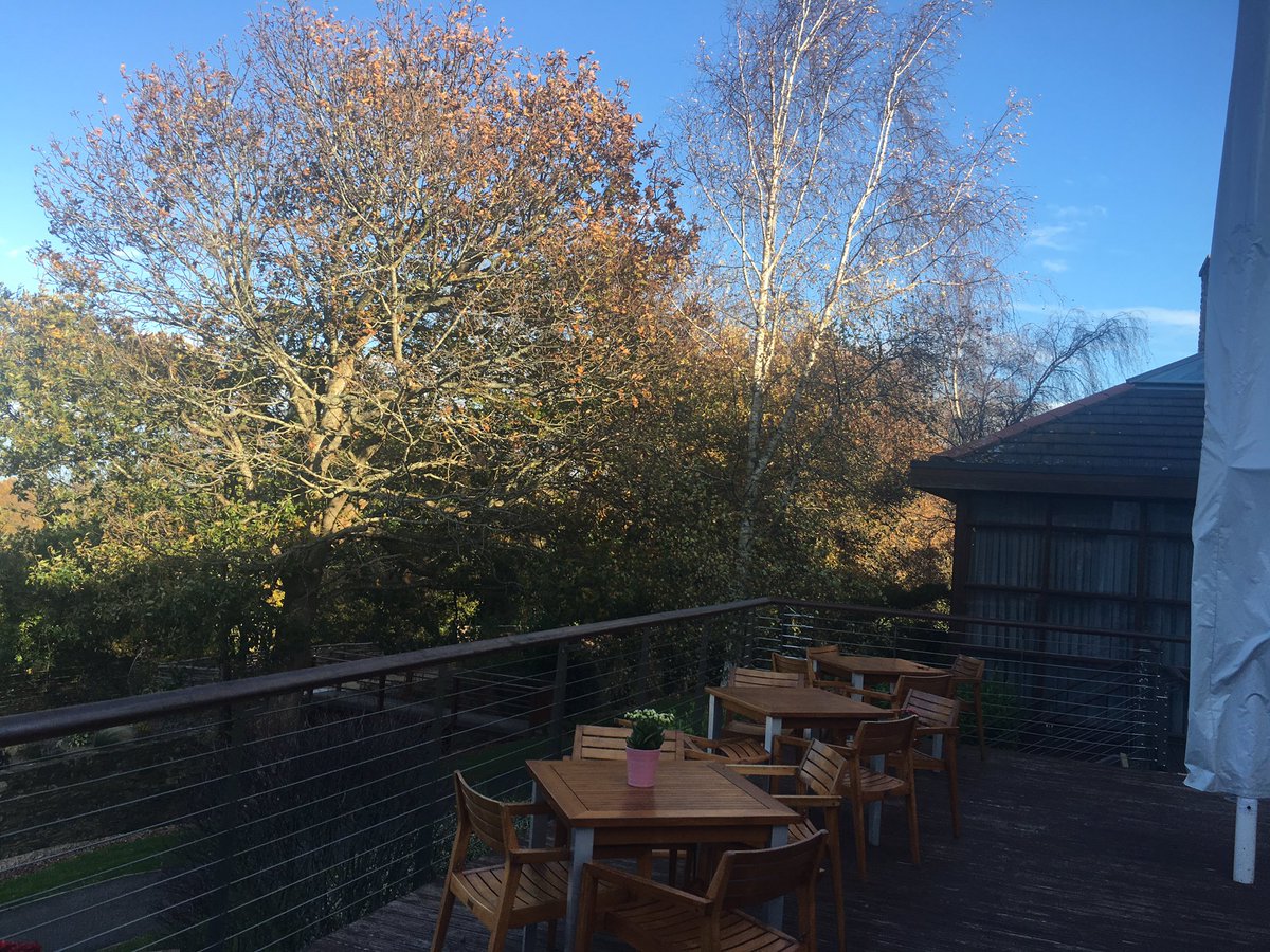 Jacquie Casey tweet media