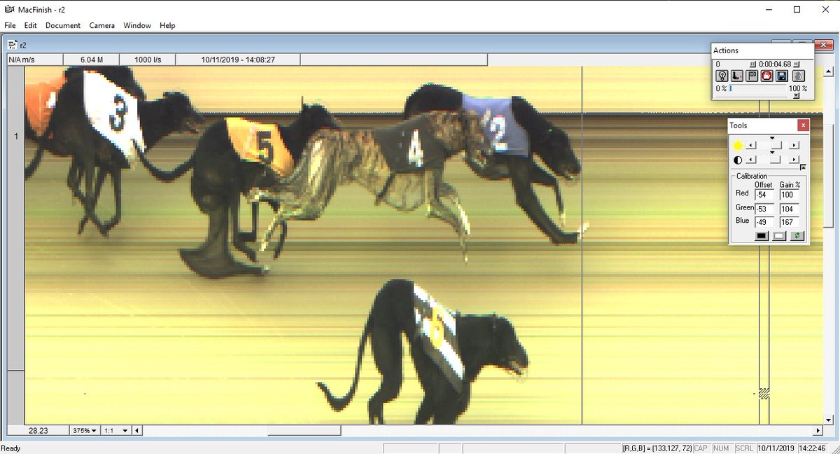 GBGBStaff's tweet photo. Last weeks winner for the #PhotoFinishChallenge was a tough pick! Congratulations to @Kinsley_Dogs where all 6 greyhounds were covered by only 0.19 seconds with a #CloseFinish for 1st, 2nd & 3rd! @NewcastleDogs @SunderlandDogs @perrybarrdogs @BelleVuedogs https://t.co/Y1Spc457Jz