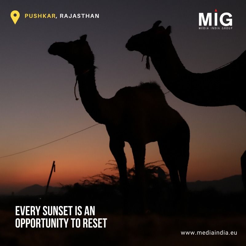 mediaindiagroup's tweet photo. Pushkar Mela 2019 is a beautiful amalgam of culture and colours of Rajasthan.
#PushkarCalling #pushkarcamelfestival2019 #pushkarcamelsafari #Rajasthantourism #miginrajasthan #mediaindiagroup #coloursofindia @CapturedOnCanon #canonindia_official -Photo by @amankanojia.ak https://t.co/2NcxbIm8un