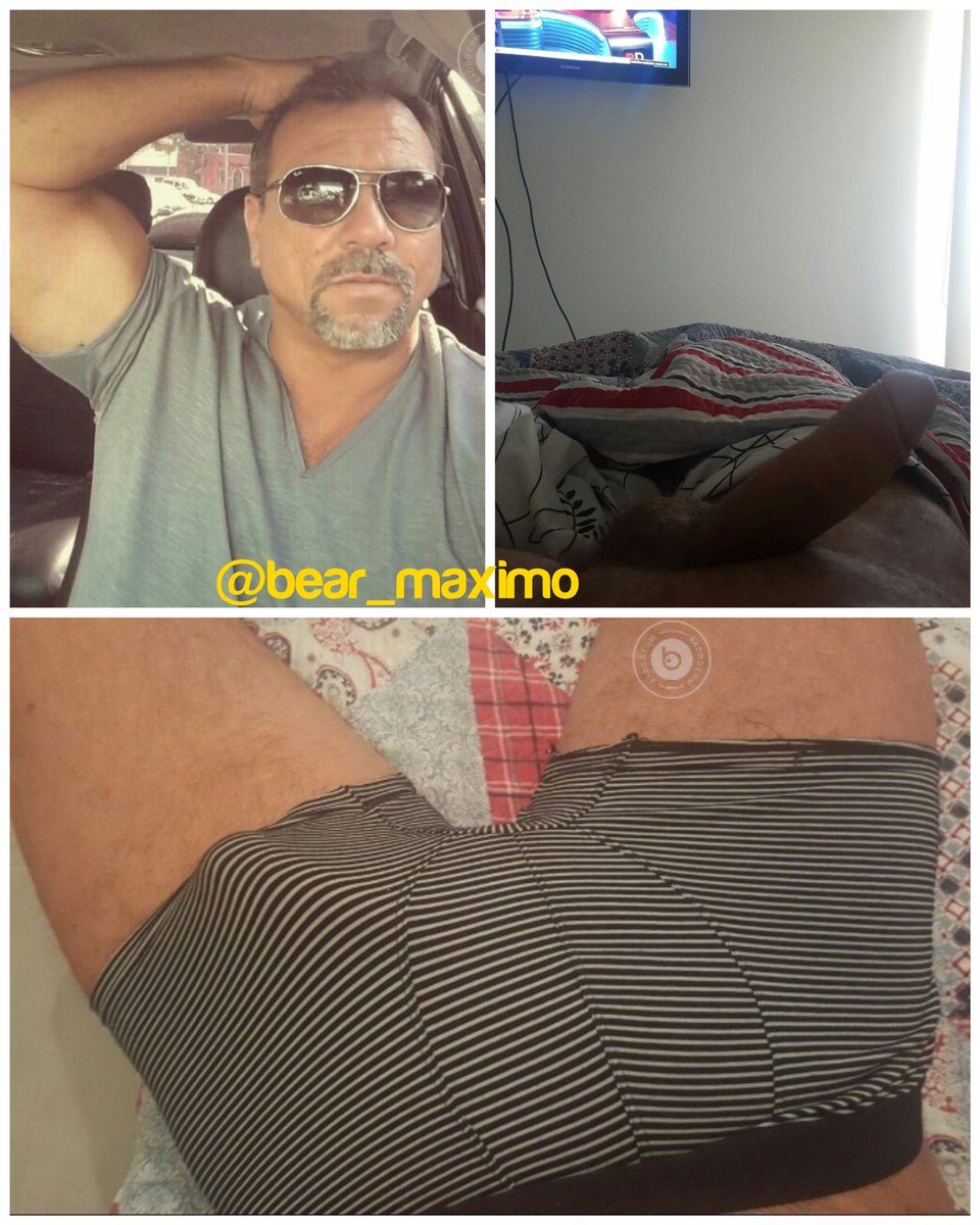 BearMaximo tweet media