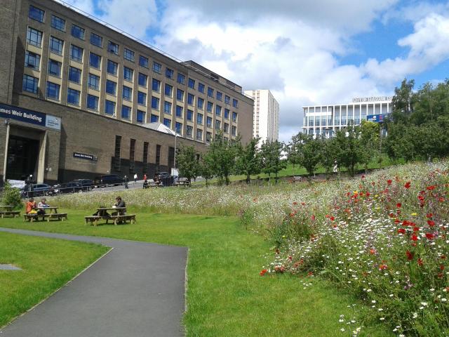 NatureScot's tweet photo. During October's #ScotClimateWeek, planners, developers & green infrastructure experts met to discuss how to better design places as we mitigate & adapt to #climatechange. Graduate placement Abi Gardner tells us more about the #FuturePlanning19 conference- https://t.co/iEICTNG3Y1 https://t.co/1AMUSxH2lx