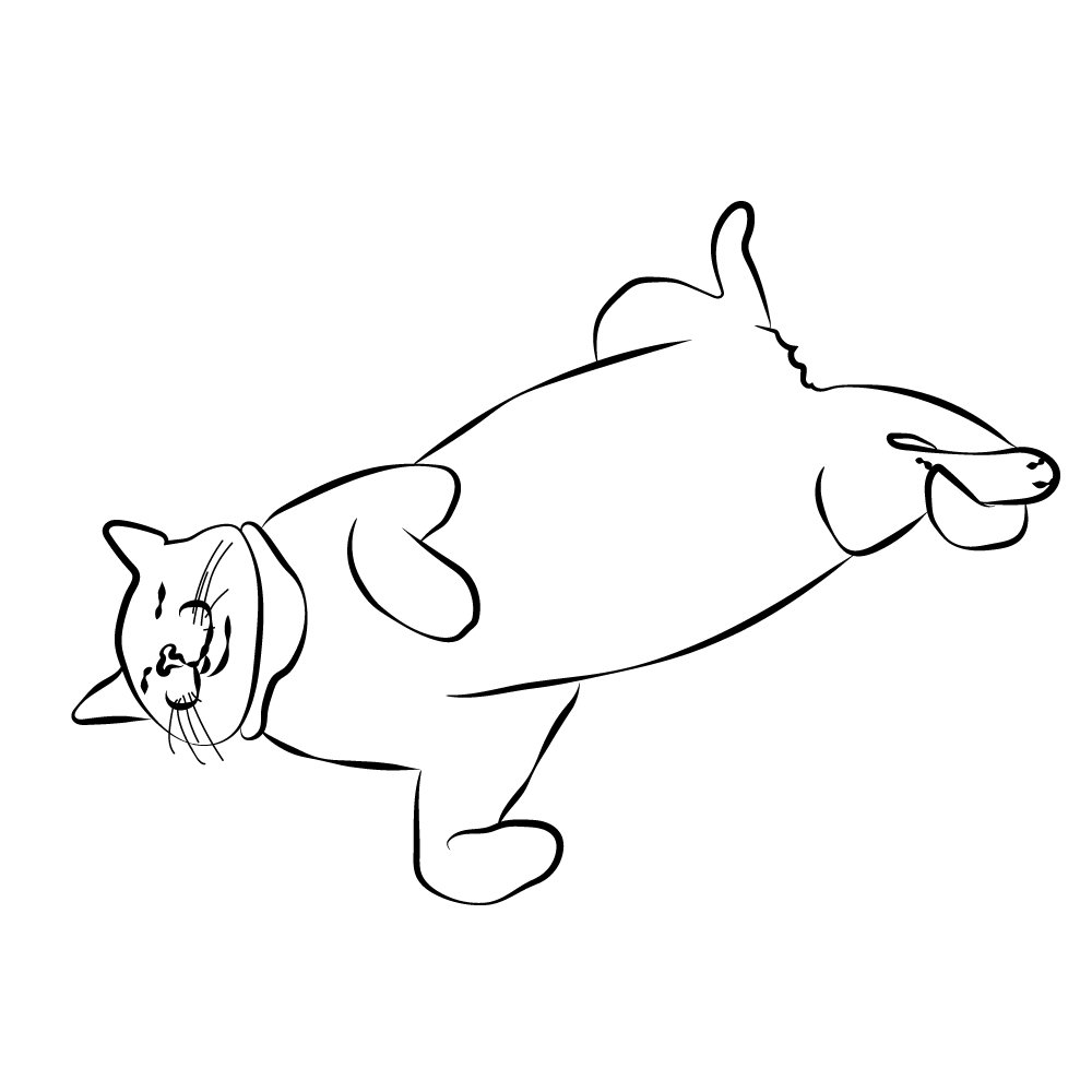 VectoyArt's tweet photo. A cat sleeping upside down 
#lineart #catlineart #pussy #cat #line #vector #vectoy #art #arts #cool #Artist #svg

The original one is from here>
https://t.co/1d9BIakGYT https://t.co/toDmriZIWm