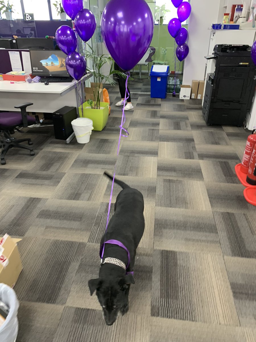 Mercury Systems are fully supporting Purple Tuesday #PurpleTuesday