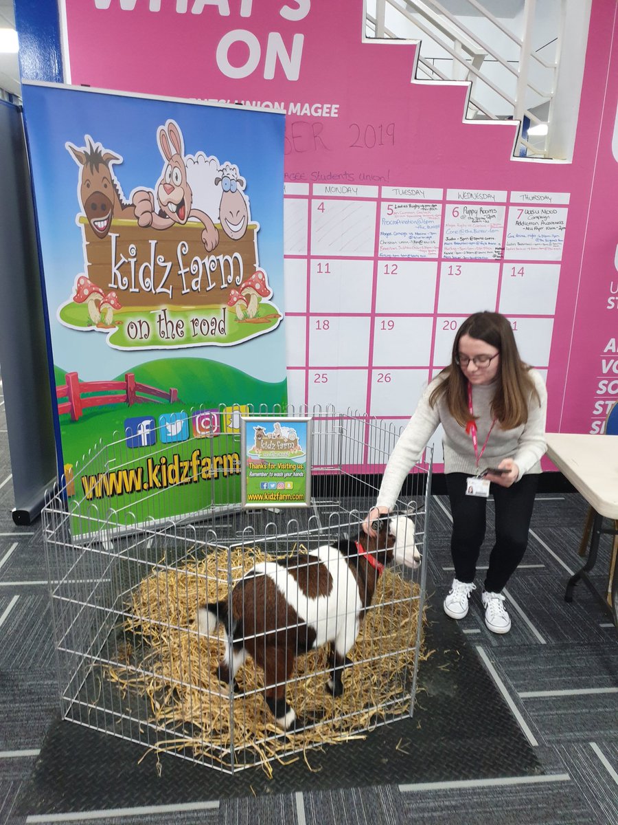 KidzFarm's tweet photo. Register to Vote and pet a goat.
#uusu #universityofUlster #petagoat #promotethevotewithagoat https://t.co/9SvFGauAqD