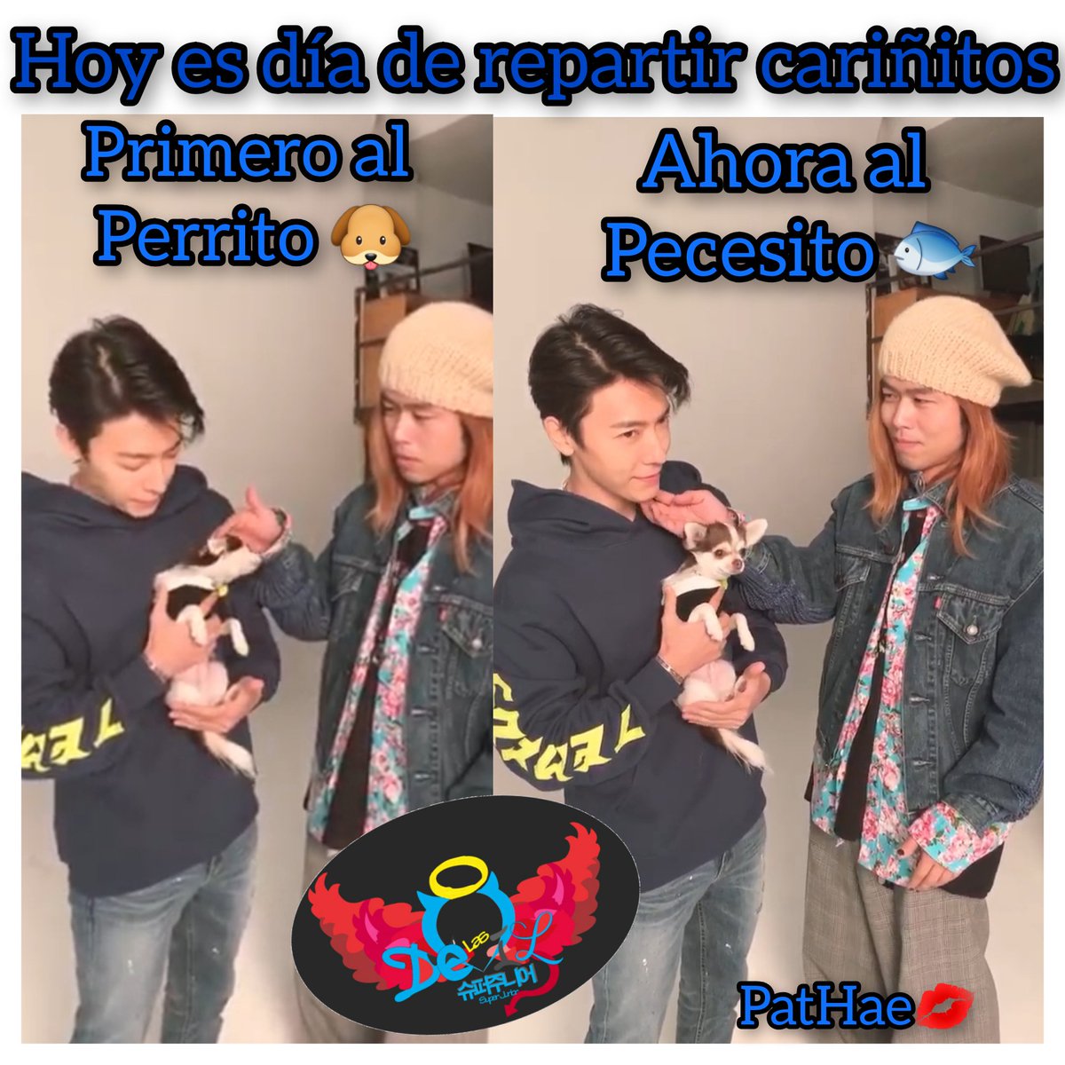 Devil_SJ15's tweet photo. Buenos días tengan todas Devils, hagamos como este hombre y sigamos dando amor a todo #SuperJunior
PD. Creo que a un monito 🐵 no le va gustar la segunda foto, lo admito a mi tampoco 🙈 pero nadie puede resistirse al pez Hae.
#PatHae💋 https://t.co/hx6avJslj8