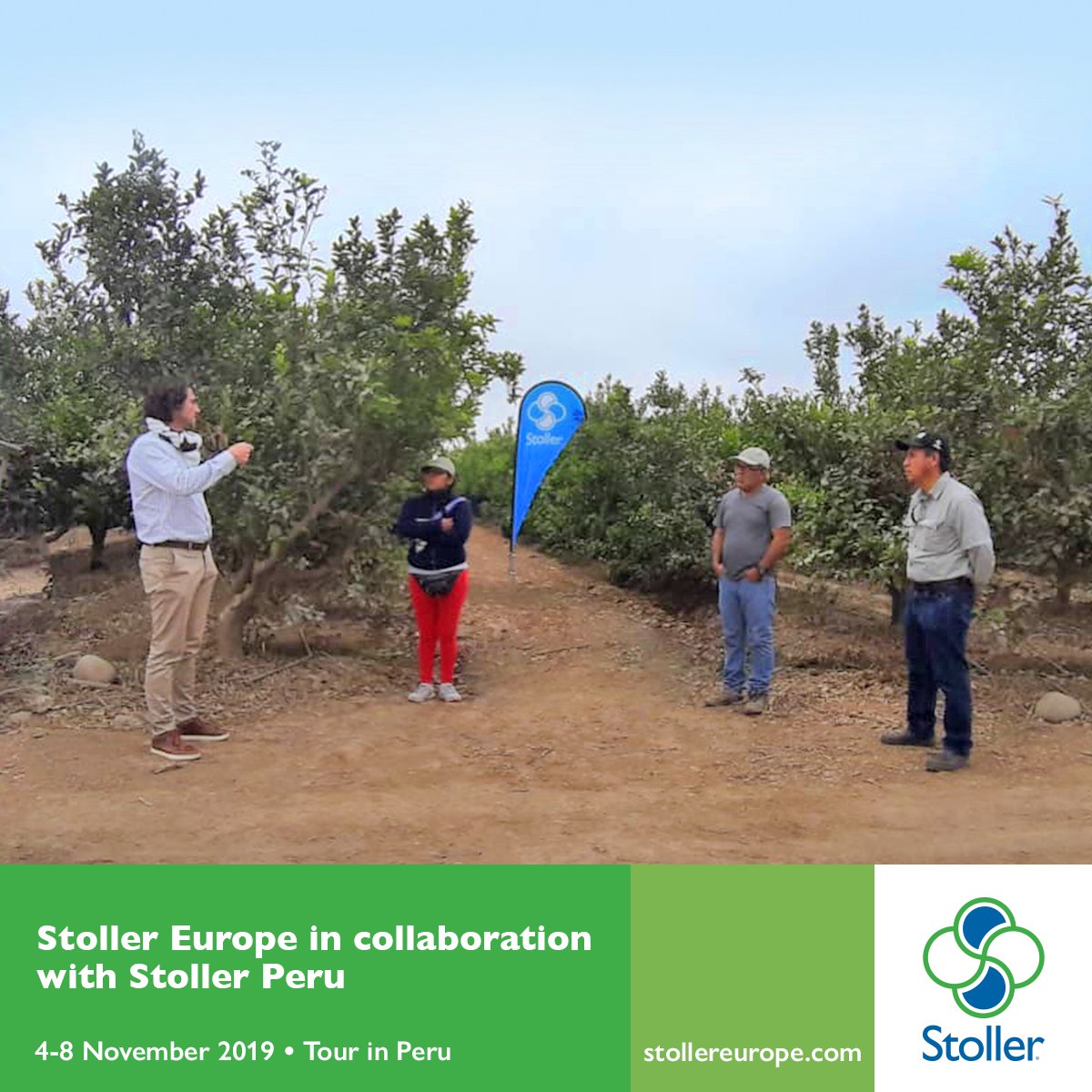 StollerEurope's tweet image. In the last part of the Tour in Peru, the Stoller Peru team together with Vicente Doménech, Technical Manager of Stoller Europe, focused on the #Stoller strategies for citrus growing under stress situations, using the #StollerTechnology.

#ThisIsStoller #ThisIsTeamwork
