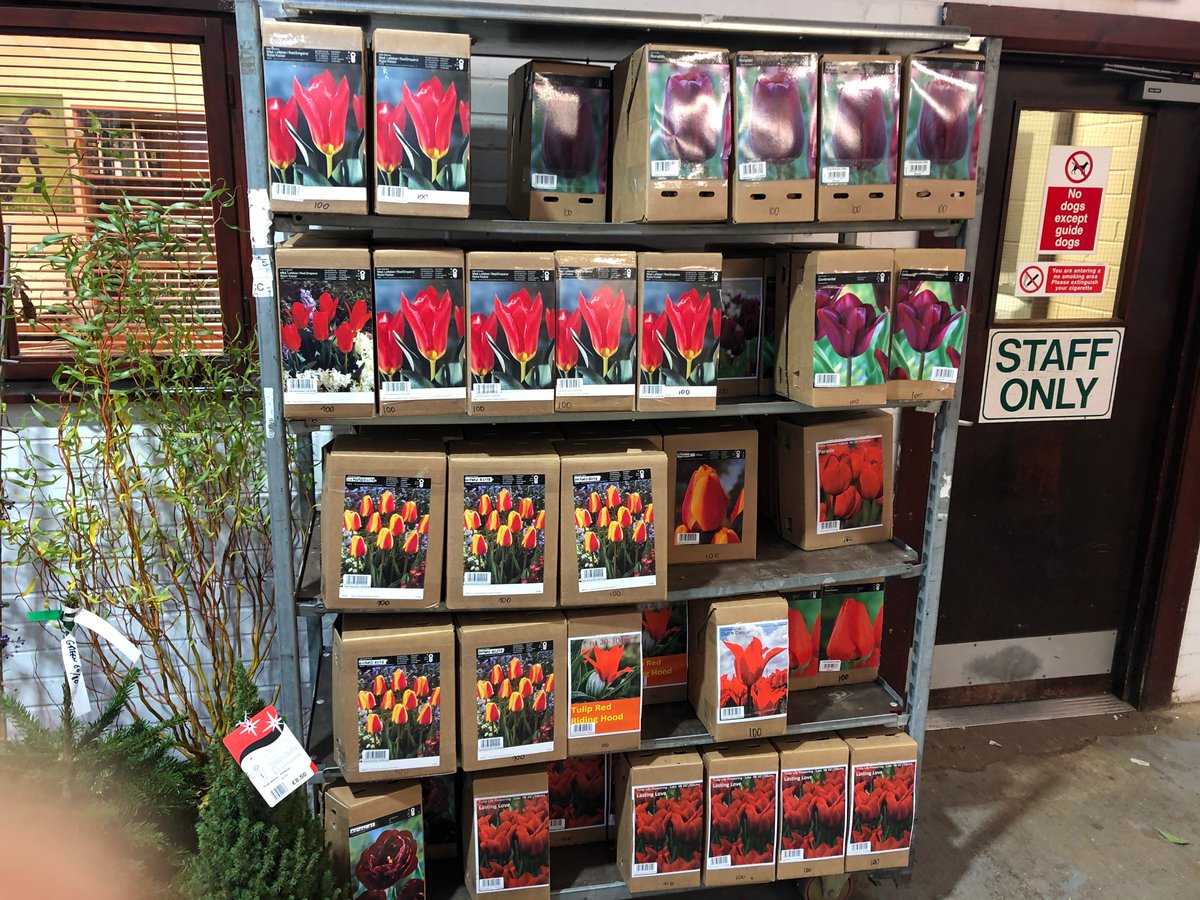 UnderwoodGarden's tweet image. At @EvergreenExt we are getting some spring colour for our clients. If you are interested in some beautiful bulbs, spring into action and get in touch.