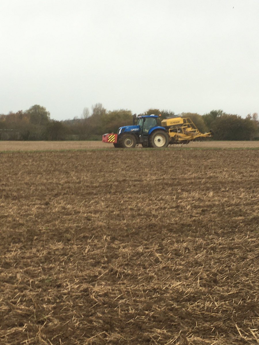 TAPAgronomy's tweet photo. 👀there is still hope 🤞🏼Amazed to see how well this is going. Nice land I know, but still shows this system has allowed us to travel. Soil in lovely, friable  condition for seeding after 48hours dry ish weather. #zyatt #itsaGo @ClaydonDrill #wellsdrained #soilhealth https://t.co/wHKapZKjV1