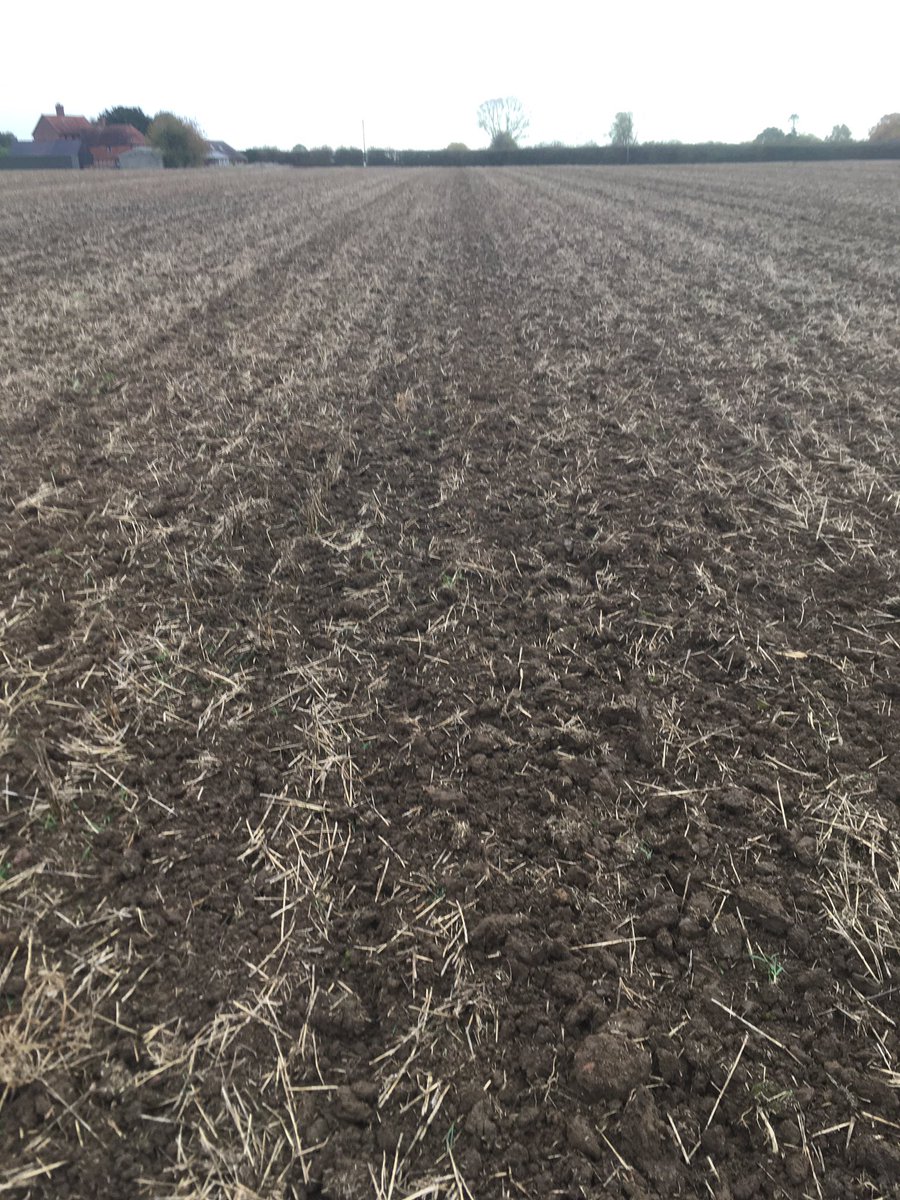 TAPAgronomy's tweet photo. 👀there is still hope 🤞🏼Amazed to see how well this is going. Nice land I know, but still shows this system has allowed us to travel. Soil in lovely, friable  condition for seeding after 48hours dry ish weather. #zyatt #itsaGo @ClaydonDrill #wellsdrained #soilhealth https://t.co/wHKapZKjV1