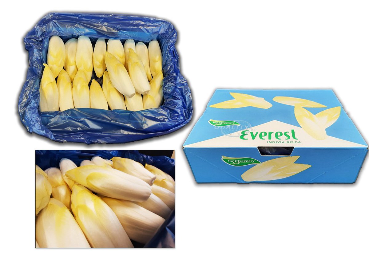 Chicory never fails to disappoint during the colder days🌧️☂️🍂.
#NEWcrop #autumn  #vitaaleurope #vegetables #nationwideproduce