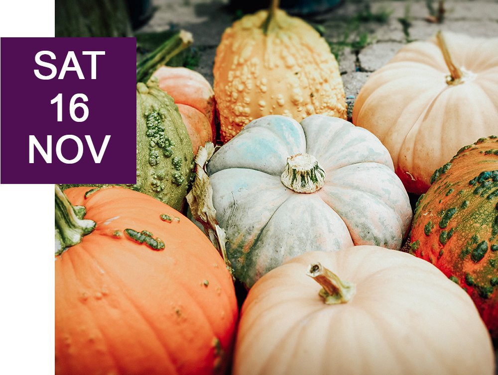 The 2019 Queen City Fall Festival is the biggest fall festival of the year. Enjoy the season with homemade crafts and local specialties. Book a room for this event: ow.ly/pnBL50wUFqS