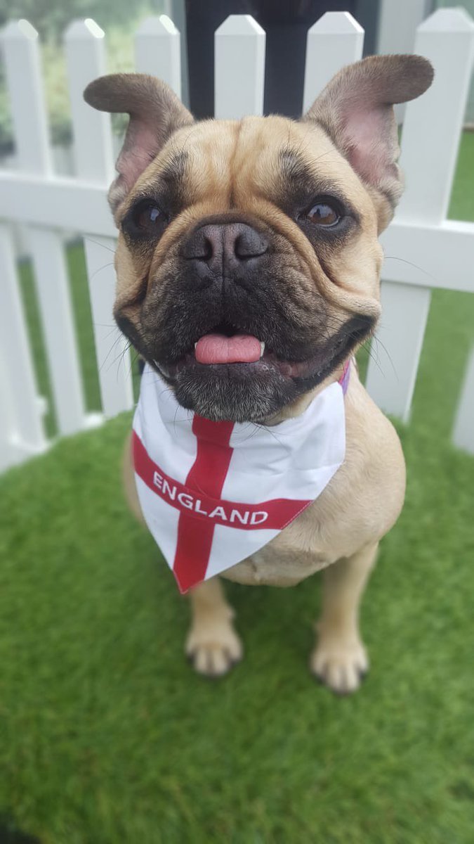 nclrollerderby's tweet image. Thanks for all your #DogsofDerby photo submissions. We had loads but unfortunately there are only 12 months in the year so we didn't have room to include them all 😢  (1/3)