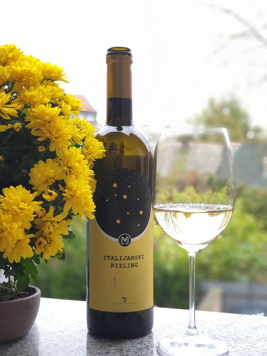 ZENEIVINO's tweet photo. Voćan i svež, prepun aroma zelenih jabuka. Idealan pratilac sunčanog jesenjeg popodneva... #grasac #CarigradskiVinskiDrum 🥂🍂 https://t.co/Q8POmozd2O