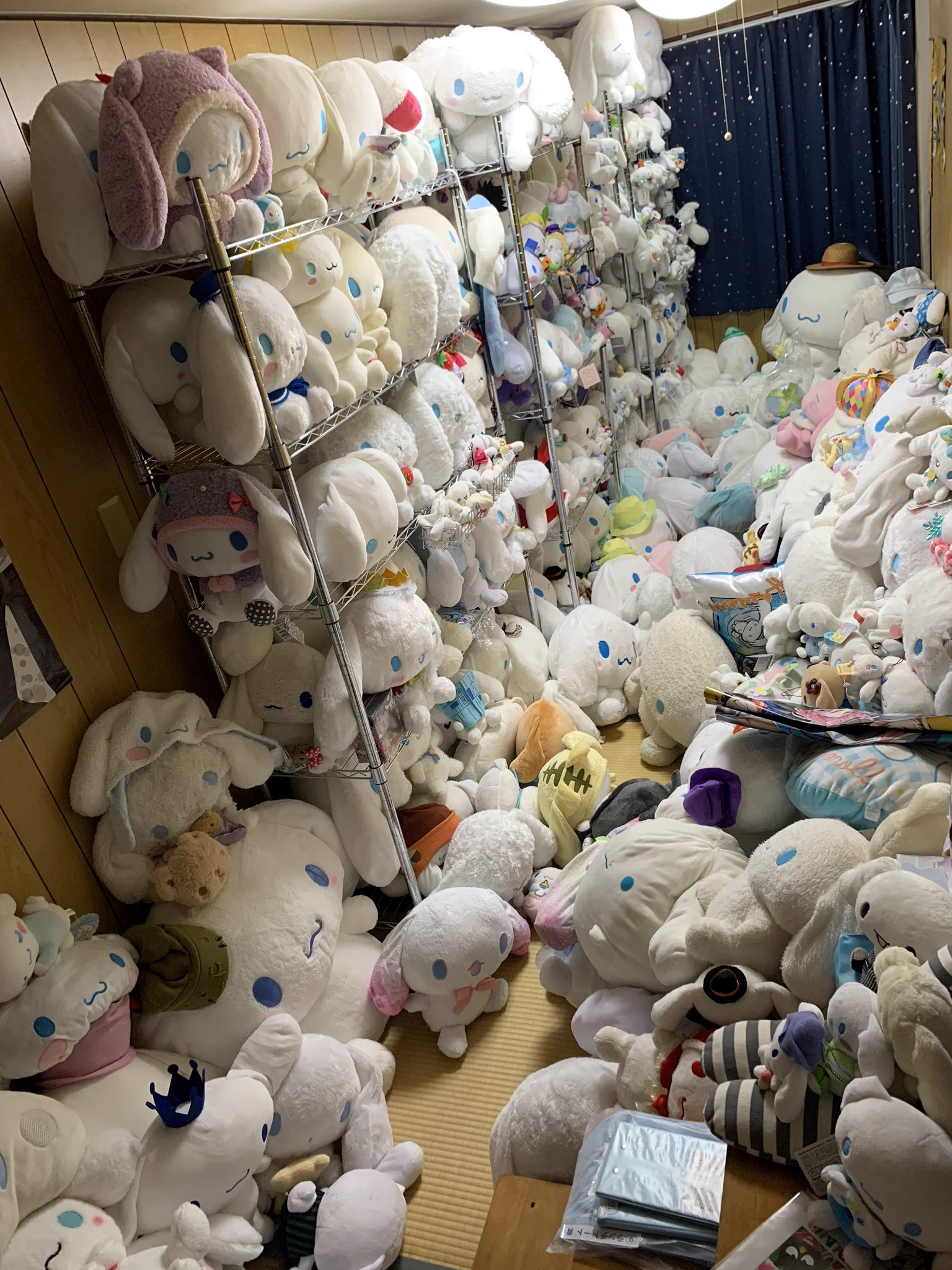 @_nariri 私のシナモンも見てください。 