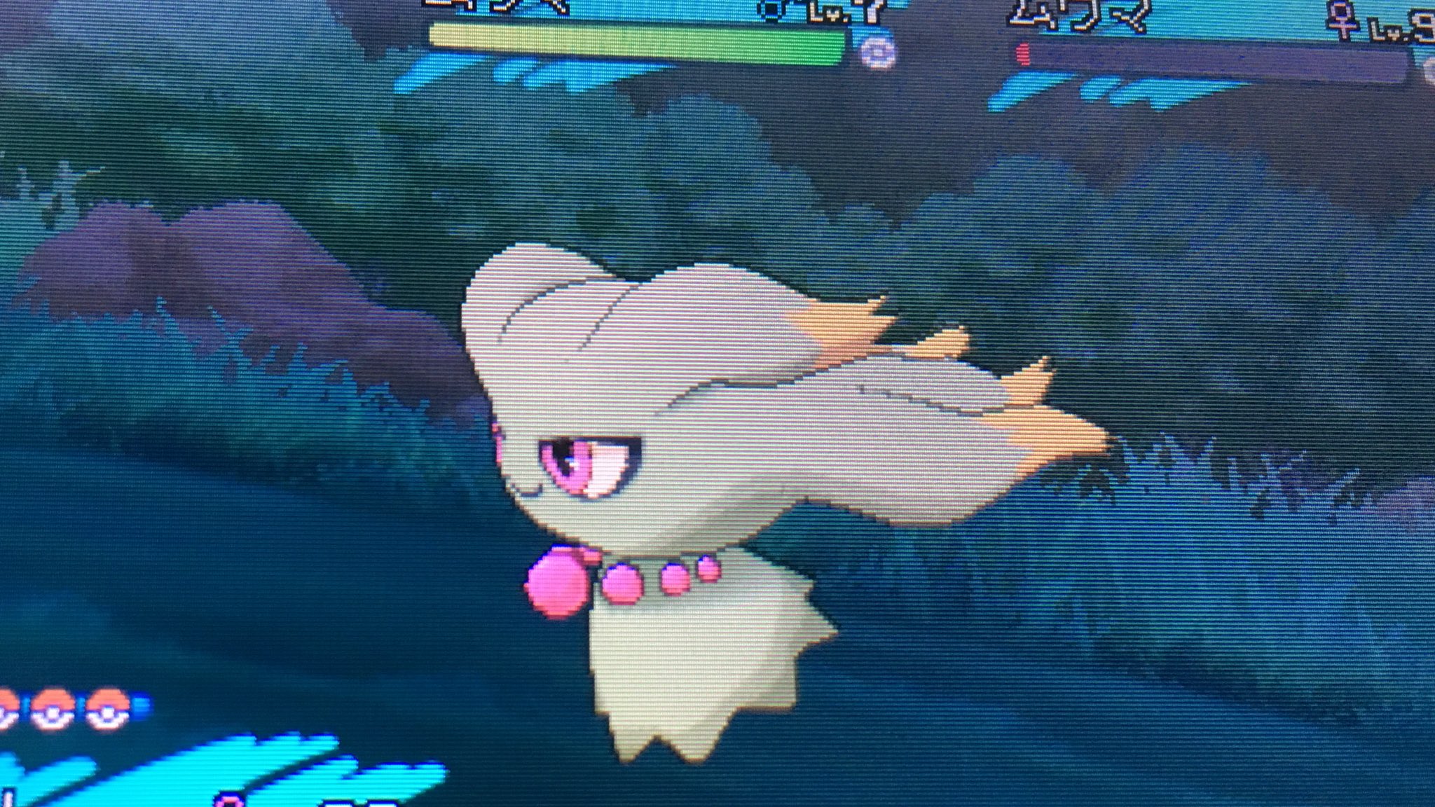くるー 仲間呼びで色ムウマ ムウマは好きなポケモンなのでウキウキ ゴーストタイプの色違いって毎回いい色だなぁ ちなみに初めてムーンで仲間呼びやってみました W ウルトラよりも呼び出しのテンポがいい気がする 色違いポケモン T Co